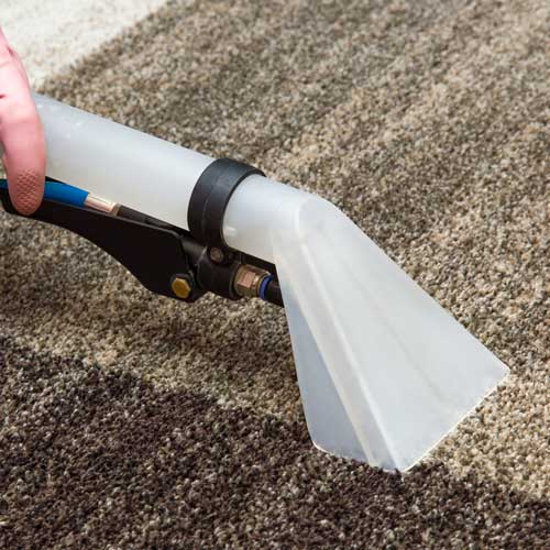 Carpet Cleaning | Dalton Wholesale Floors.