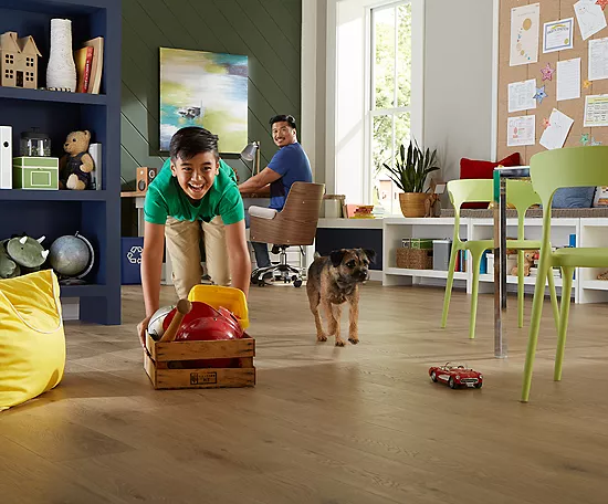 Safeguarding Floors from Pets: Tips and Tricks | Dalton Wholesale Floors