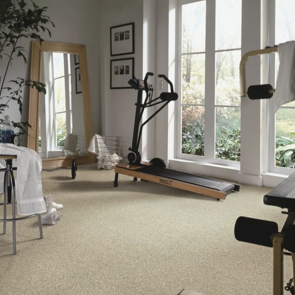 Multipurpose room carpet | Dalton Wholesale Floors